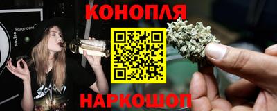 шишки Лесосибирск
