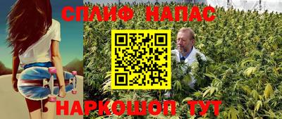 шишки Лесосибирск