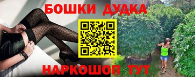 шишки Лесосибирск