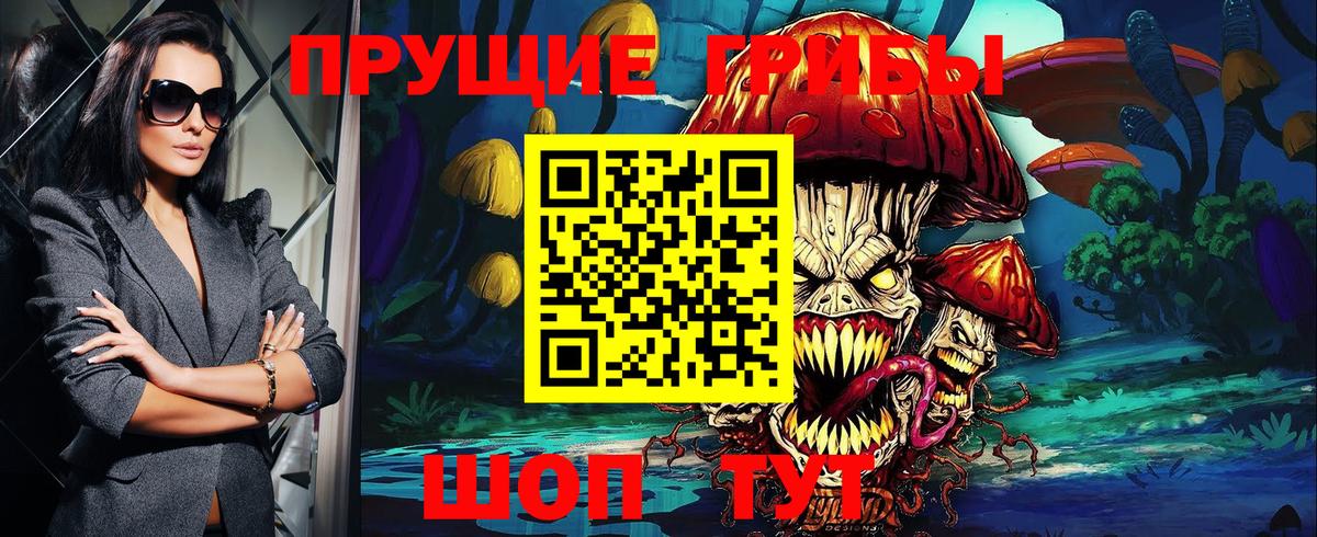 Елабуга  Псилоцибиновые грибы Psilocybe  Вход с VPN  Галлюциногенные грибы MAGIC MUSHROOMS 